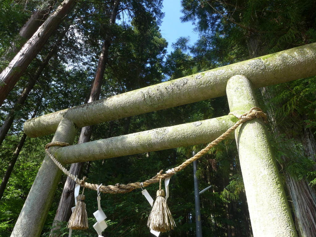 P1010257