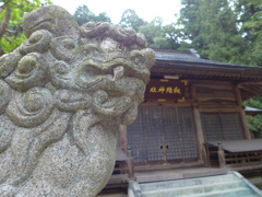 P1010764