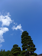 P1010310