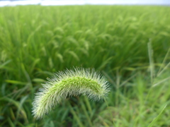 P1010139