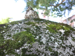 P1000852