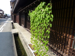 P1000819