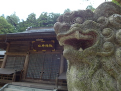 P1010762