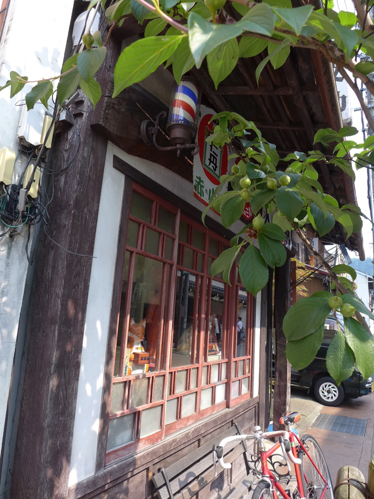 P1000828