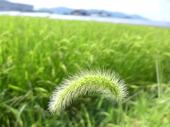 P1010138