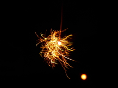 P1010501
