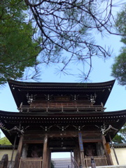 P1010223