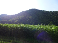 P1010149