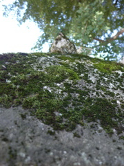 P1000851