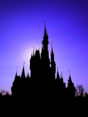 Silhouette Cinderella Castle