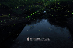 蛍 2010