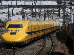 Yellow line