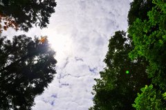DSC_0694