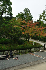 クララ～京都智恩院にて・・（四条の少女?ハイ寺）