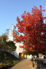海南市わんぱく公園
