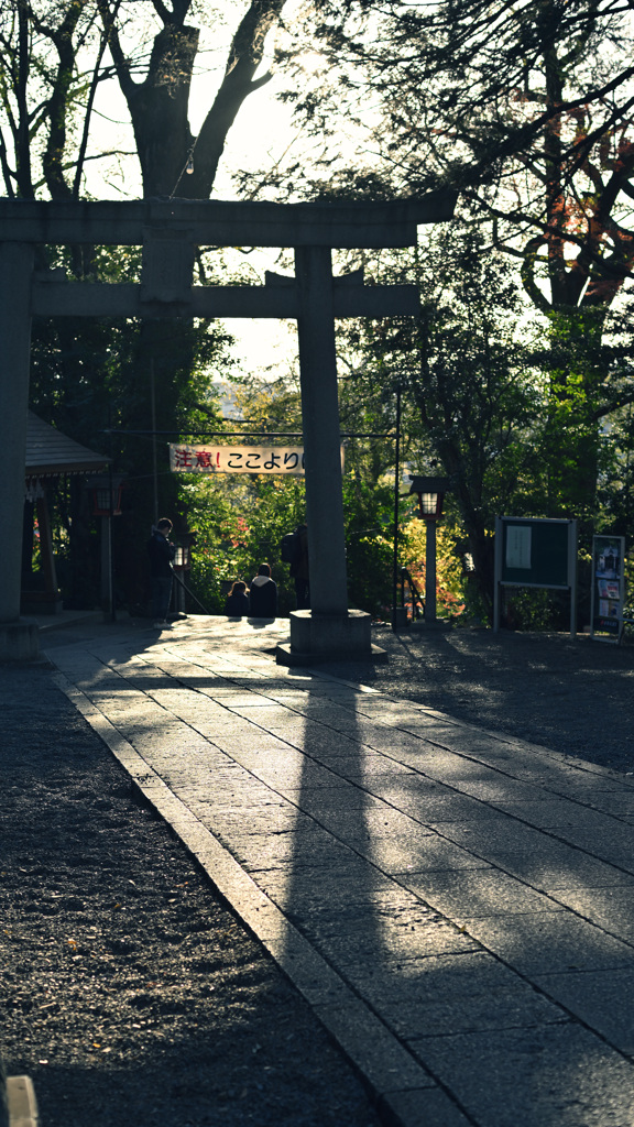 鳥居にあたる夕陽