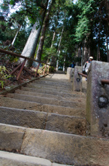 大山の参道