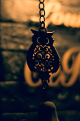 owl