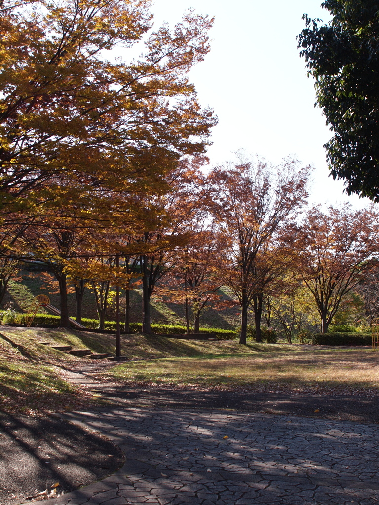 晩秋の公園