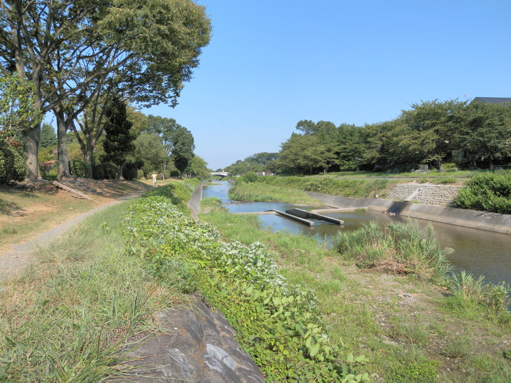 多摩御陵、夏