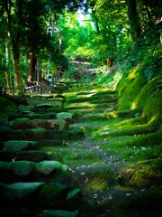 日向薬師参道