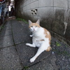 お？なんじゃい！？