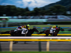 東京競馬場にて