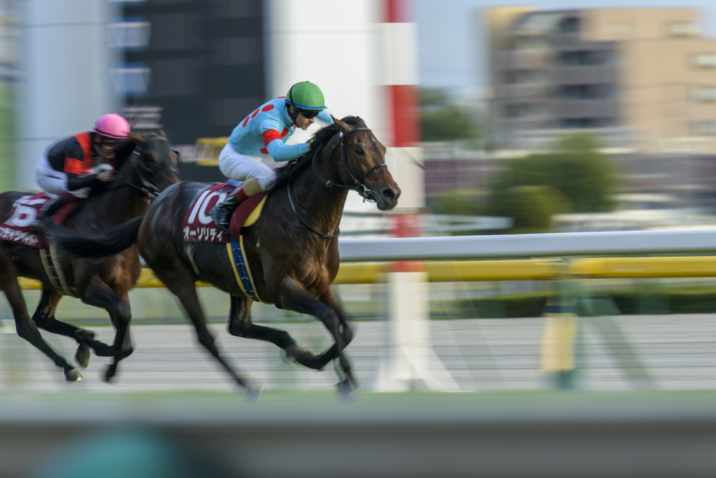 馬券を失った瞬間