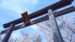 高麗神社の鳥居