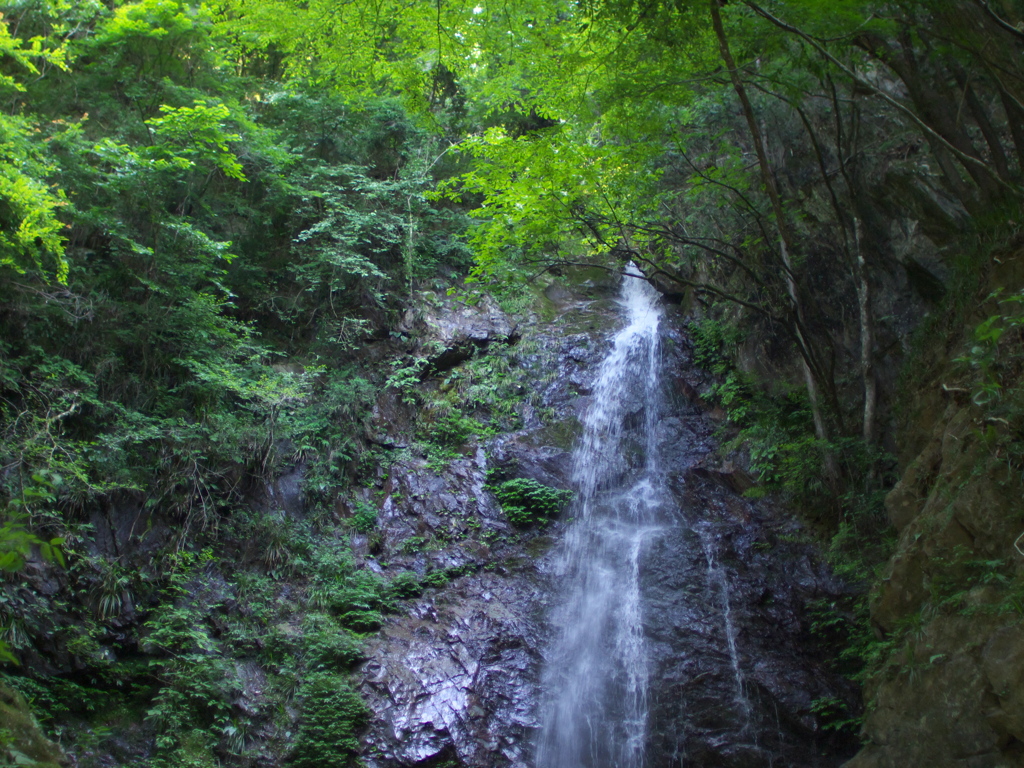 払沢の滝１