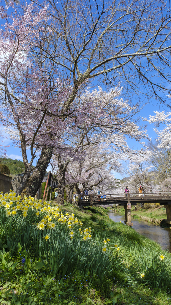 花の饗宴