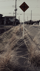 雑草だらけの歩道