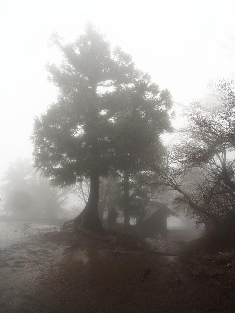 雨の大山３