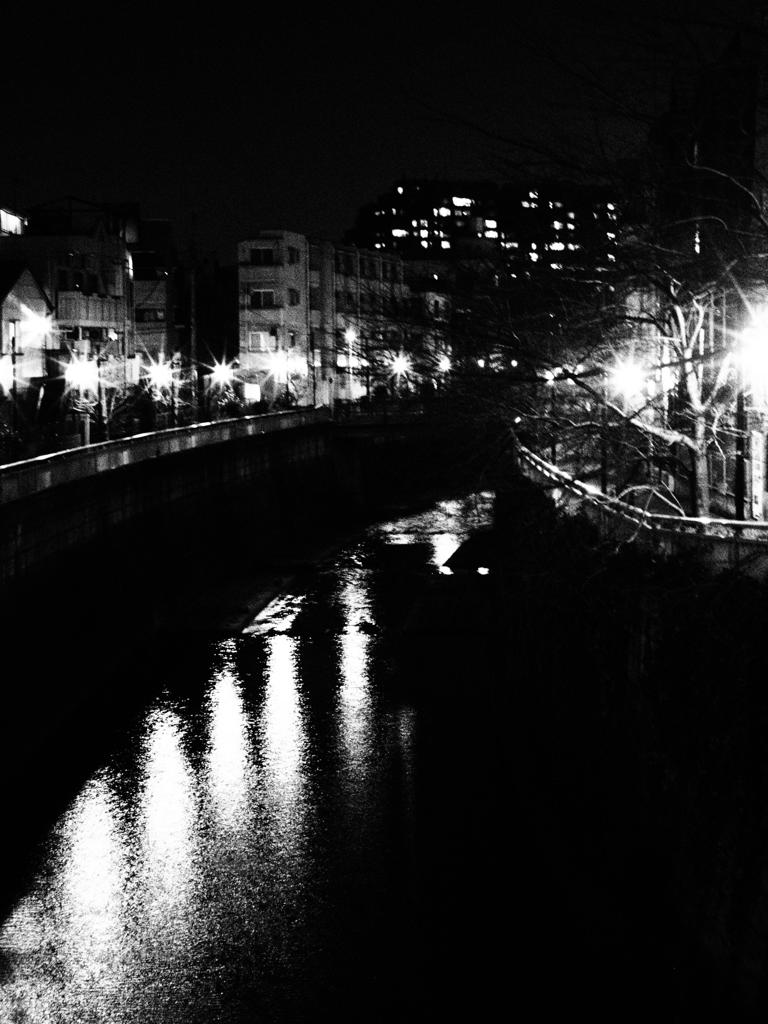夜の川