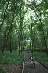 小宮公園にて