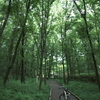 小宮公園にて