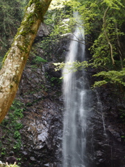 払沢の滝