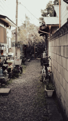 路地