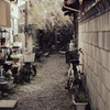 路地