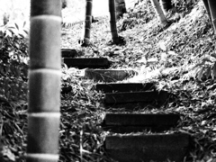 竹やぶの小路