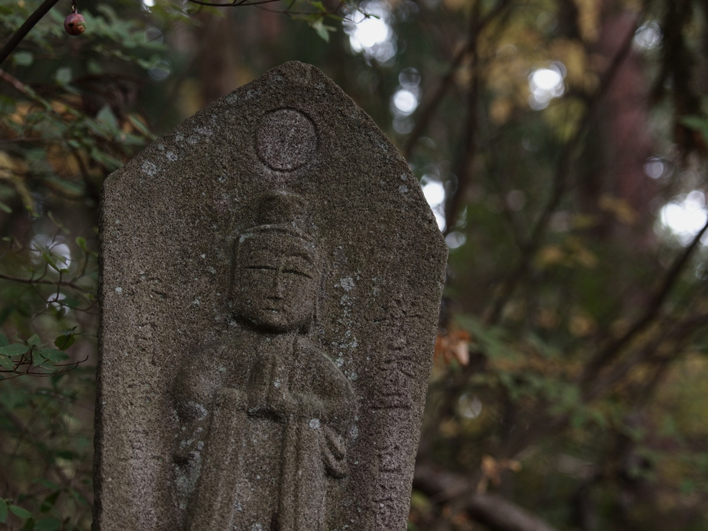 浅間尾根の神々４