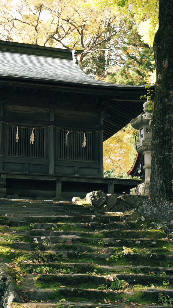 諏訪大社への参拝