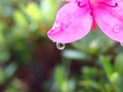 雨上がりの朝２