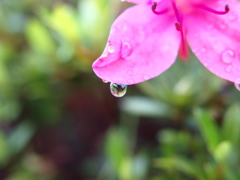 雨上がりの朝２