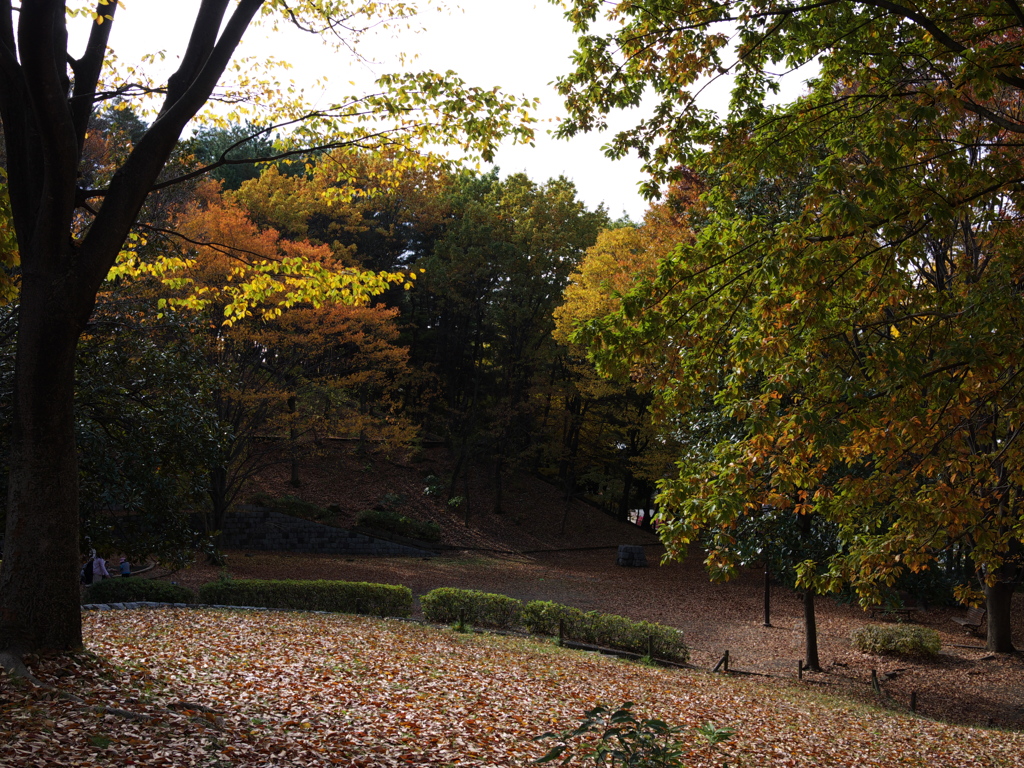 公園にて