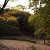公園にて