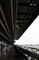 東京競馬場にて