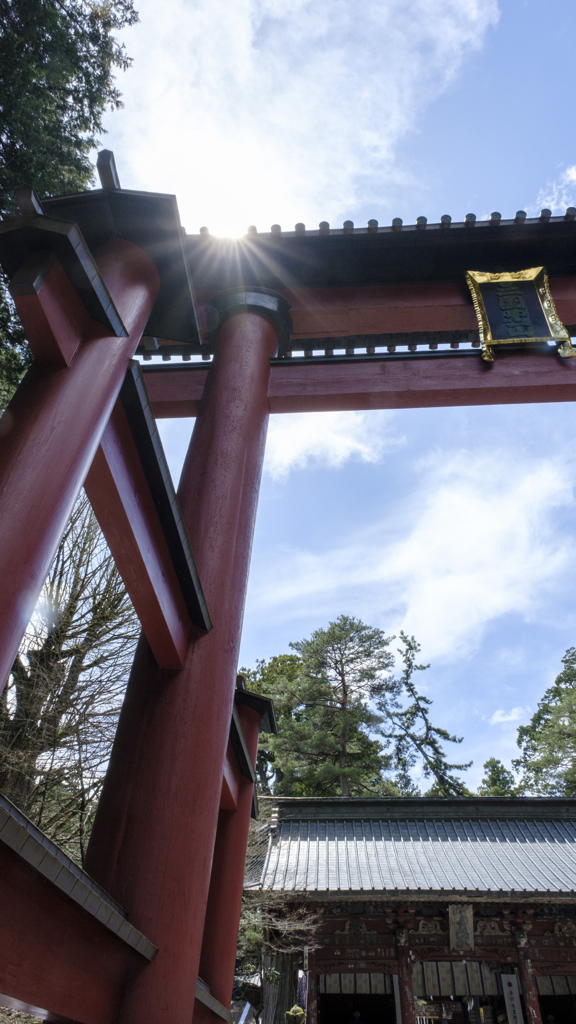 鳥居をくぐる