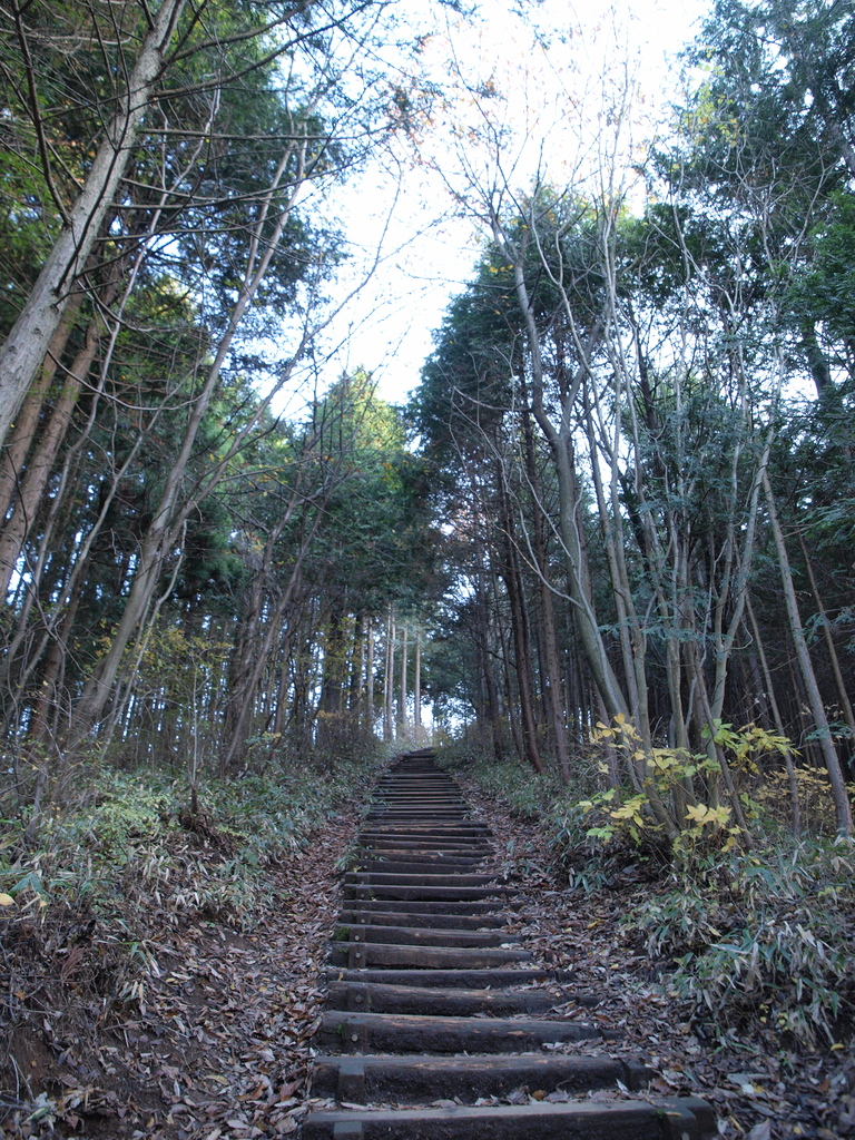 頂上への階段