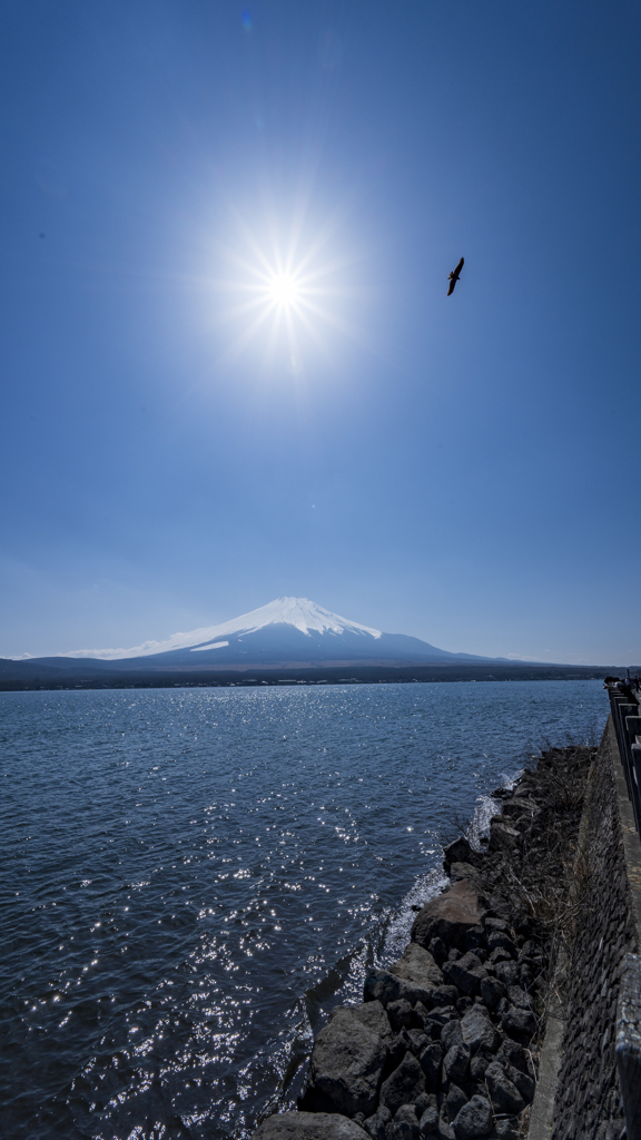 富士山ととんび